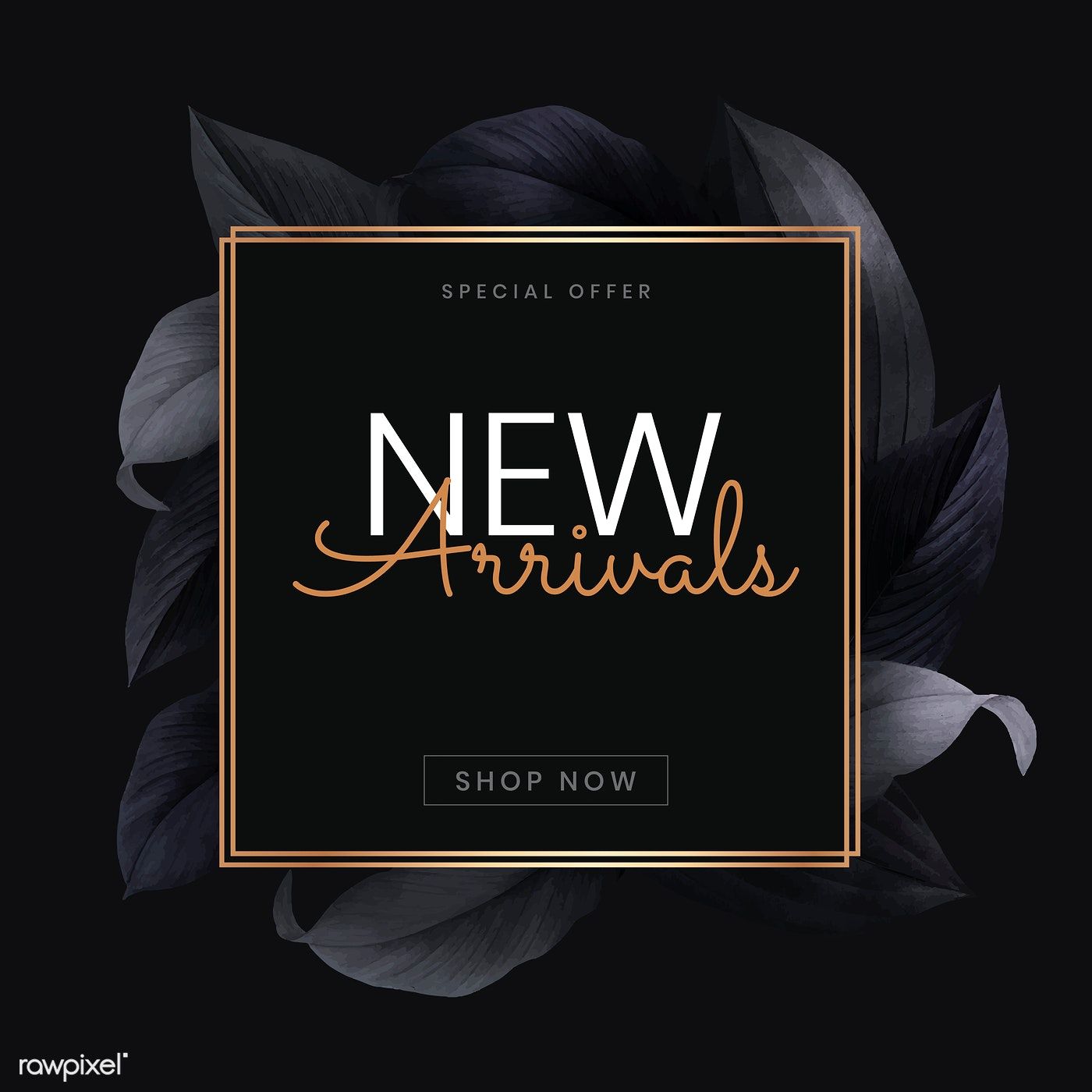 New Arrivals