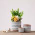Ceramic Flower Pots Nordic Style zam