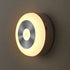 Motion Sensor Night Light zam