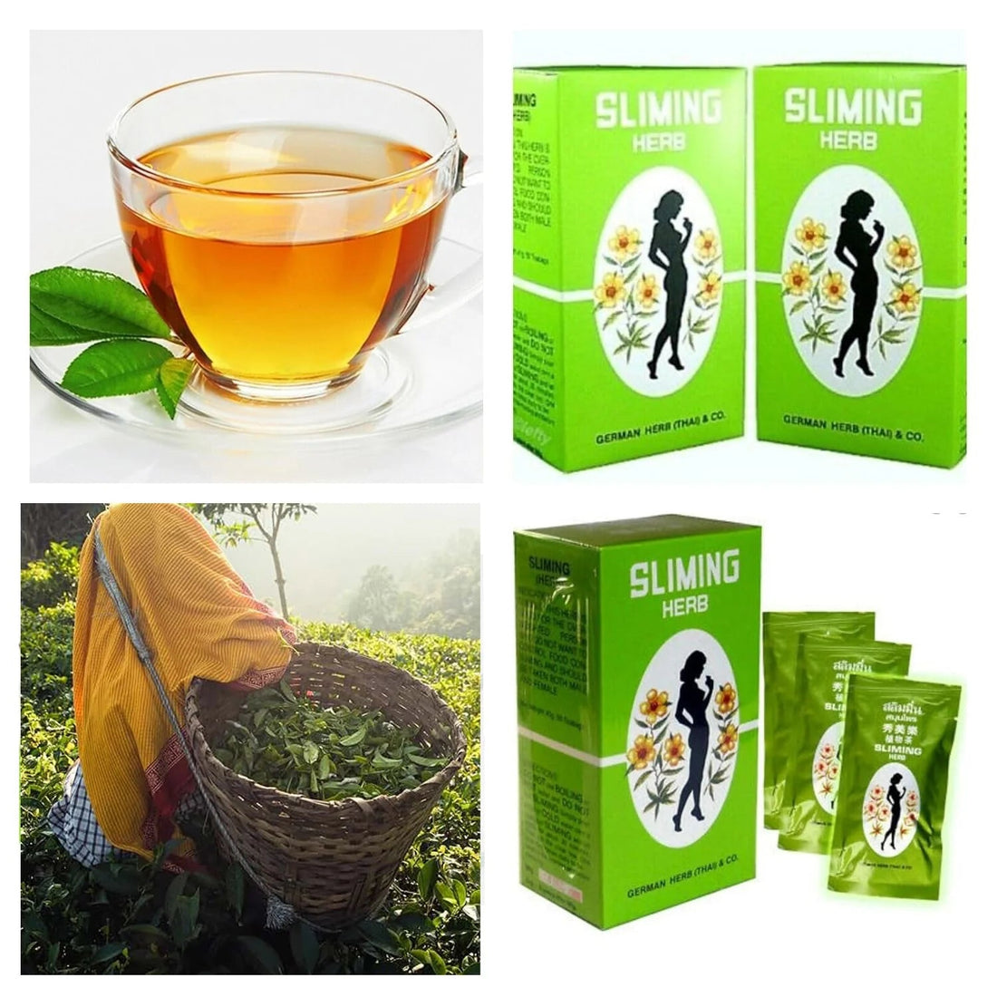 Sliming Herb - Herbal Weight Management Support (Original)